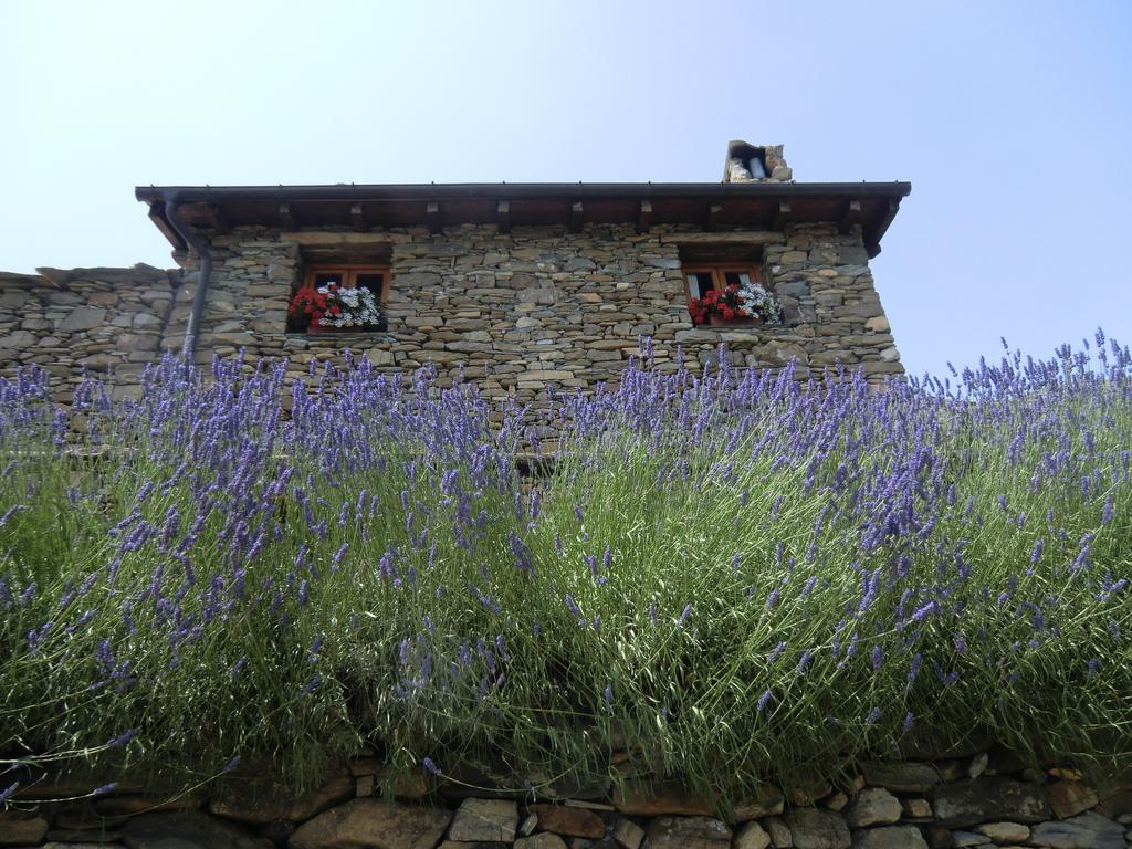 Agriturismo La Fontana Dell'Olmo Vendégház Molini di Triora Kültér fotó