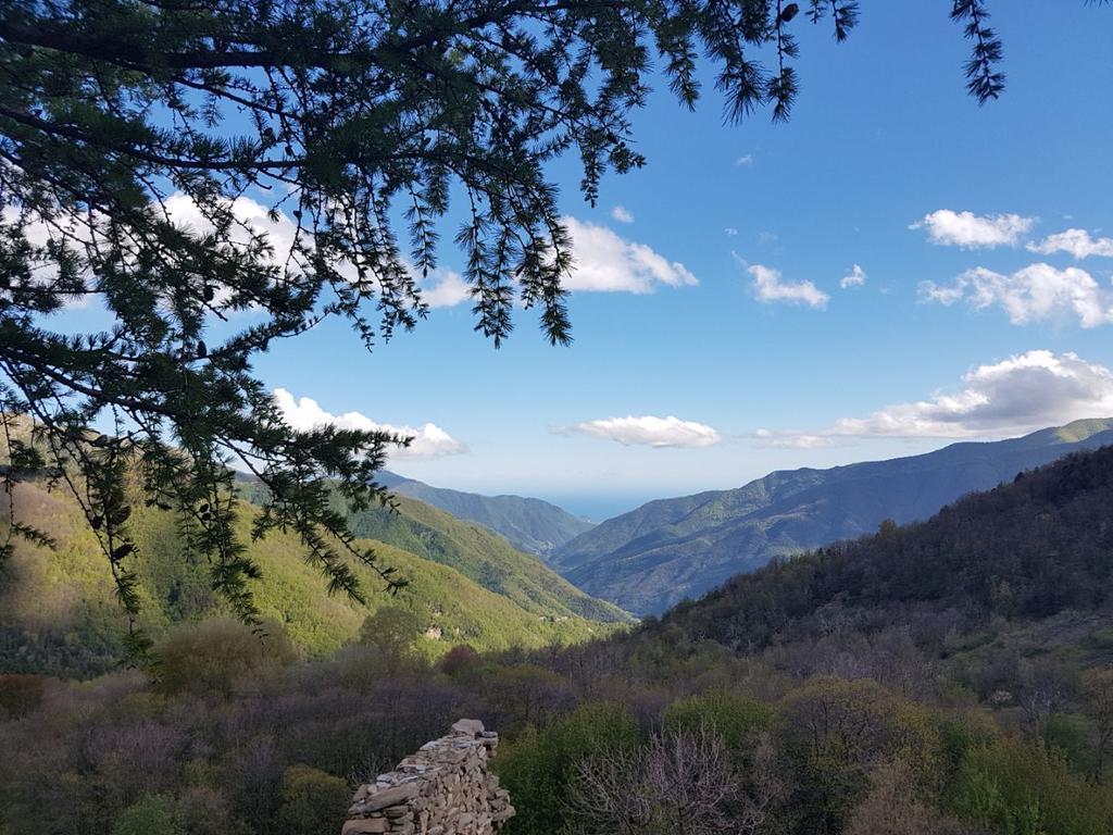 Agriturismo La Fontana Dell'Olmo Vendégház Molini di Triora Kültér fotó